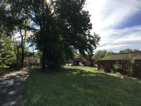 photo no. 16
