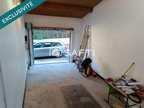 photo no. 12