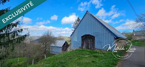 photo no. 10