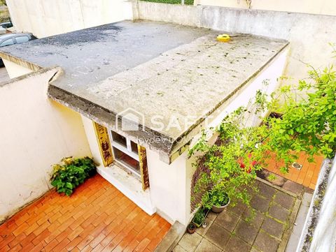 photo no. 13