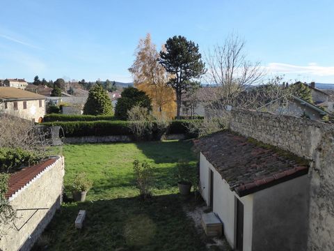 photo no. 13
