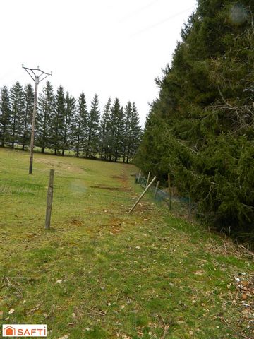 photo no. 3