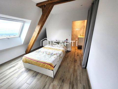 photo no. 15