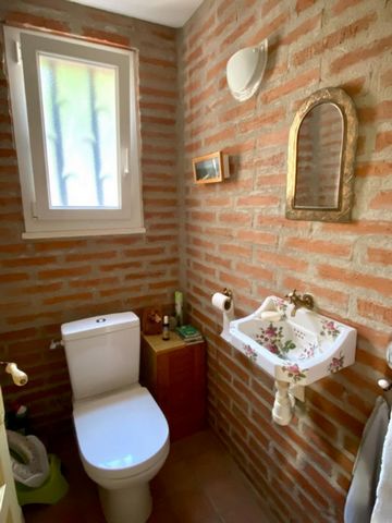 photo no. 10