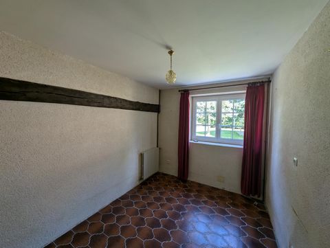 photo no. 6