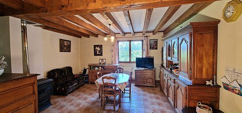 photo no. 24