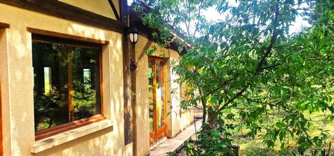 photo no. 26