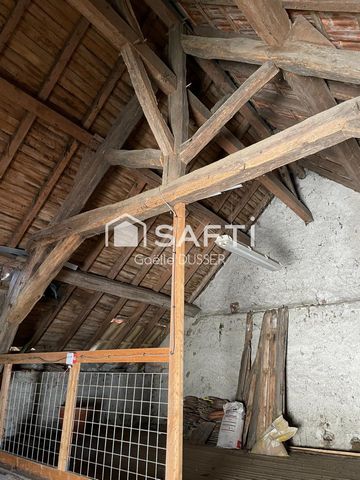 photo no. 4