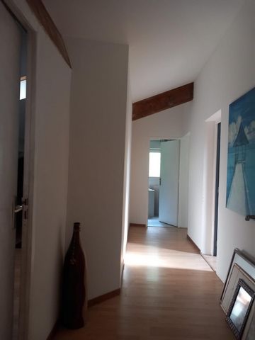 photo no. 11