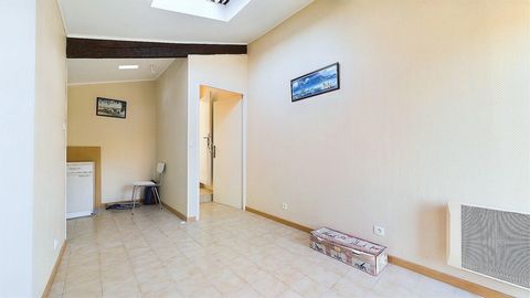photo no. 12