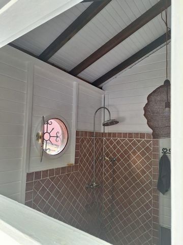 photo no. 18