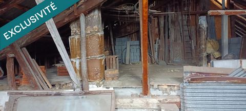 photo no. 9