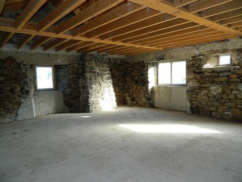 photo no. 7