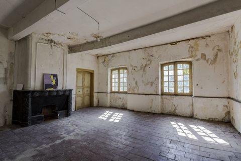 photo no. 19