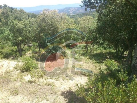 Land of 600m2 located in the upper part of the Font-Bona urbanization, a very quiet area, with lots of privacy and surrounded by nature in Llagostera. It is located within the Massís de Cadiretes, a protected natural space. The urbanization is up to ...