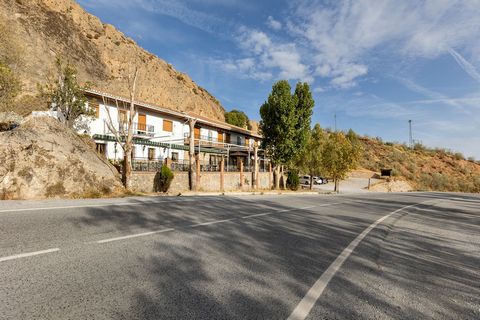 This charming rural hotel in Granada, refurbished in 2004, has all the mod-cons. Hotel La Higuera is located in the Sierra Nevada Natural Park, 16 km from Granada and 15 km from the Sierra Nevada ski resort. The rooms have natural light, wooden floor...