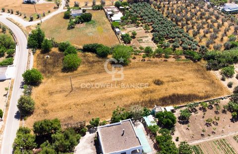 APULIA - LECCE - CUTROFIANO (LE) In Cutrofiano, a town in the Salento hinterland, we are pleased to offer for sale agricultural land of about 6300 square meters of which about 100 square meters can be built. The property is located in a quiet area su...