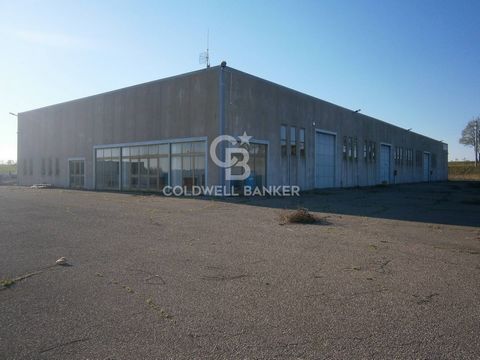 In the commercial / craft area and strategically located, industrial warehouse category D7 of 1800 square meters of which about 200 are intended for exhibition and offices, in addition to an outdoor area owned by 3720 square meters bordered by a galv...