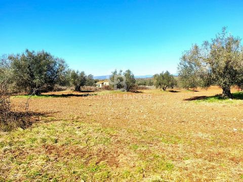 LATIUM - VITERBO - ISCHIA DI CASTRO - LOCATION VEPRE FARMHOUSE TO RESTORE WITH LAND In the countryside of Ischia di Castro, in Località Vepre, for sale a 50 sq m commercial farmhouse for agricultural use, to be completely restored, with land of appro...