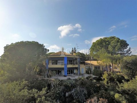 With many mature trees and sitting in the hills just north of the Roman town of Tavira, set on a very large plot of land, this property offers a wonderfully peaceful environment to live in, yet it is close to both the city and the coast. The main hou...