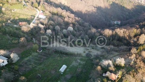 www.biliskov.com  ID: 13490 Samobor The land area of 136,056 m2 is divided into two units and 31 parcels, of which the area of the construction part of the land is 8,439 m2, while the rest is in the non-construction zone. The first unit has an area o...