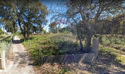 Excellent plot of land with an area of 1322m2 has a gross construction area of 365m2 and a building deployment area of 255m2. The land has good access, next to the Municipal Road 511-2 and Camino de Santiago. With an excellent sun exposure the land i...