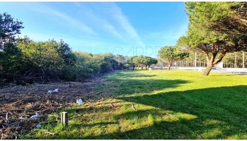 Plots of land in the Atlantic Village Urbanization, in Praia da Pedra do Ouro, Alcobaça, Leiria. Several plots of land, either for the construction of housing or for the construction of buildings (8, 10 and 17 fractions). Plots with areas from 912 m2...