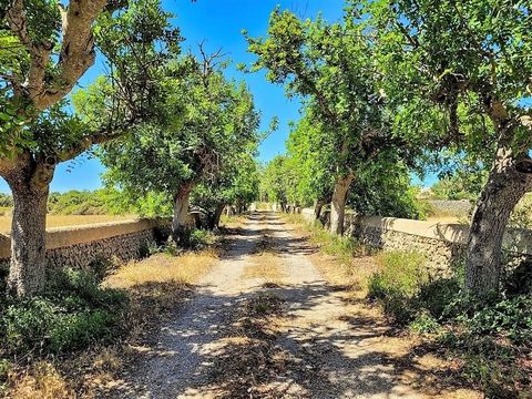 Discover the wonder of living in a place where MENORCA IS A CLOSE PARADISE. A short distance from the charming town of Alaior, this unique property awaits you. A magnificent country house in Alaior, Surroundings area, with 660 m² built for housing an...