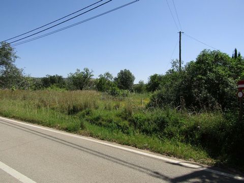 Terrain rustique de 1800 m2, situé près de Boliqueime, à Campina. Le terrain a une bonne façade sur la route goudronnée et le lampadaire à proximité. Il y a quelques arbres sur le terrain, notamment des caroubiers et des amandiers. Excellent pour la ...