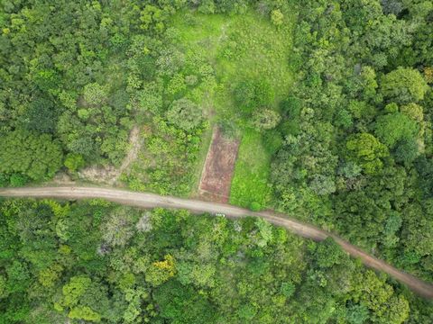 Beautiful lot near Tamarindo ready to build ! Don’t miss this amazing opportunity… Located in Guatemala of Santa Rosa this land is at only 20 minutes from the vibrant Tamarindo Beach. The lot has his water meter so you can start all the process to bu...