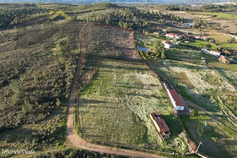 Petite ferme de 17.400m2 située à Palvarinho, village situé à 8km de la ville de Castelo Branco. Le tout est clôturé avec l’accès d’un portail manuel. Il dispose d’un réservoir d’eau, d’une annexe pouvant servir de stockage et d’électricité à proximi...