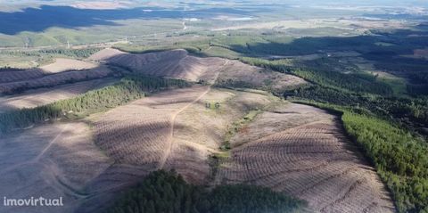 Działka, w Enxames, Fundão o powierzchni 137,610m2 Nieruchomość składa się z ruiny, studni, terenu pod sadzenie i lasu sosnowego - Nieruchomość posiada około 13,7 ha gruntów ornych, które można wykorzystać jako plantację wiśni (istnieje już zatwierdz...