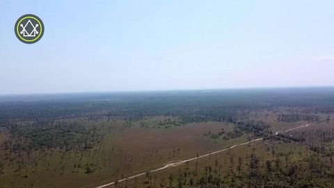 Discover the untouched beauty of Belize with this expansive 2547-acre property in Monkey River Bladen. Located in an area of remarkable natural beauty, this vast expanse of land offers endless possibilities for development or conservation. The proper...
