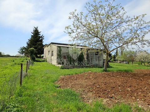 Location: Istarska županija, Poreč, Poreč. Poreč-Bereich, Baugrundstück mit geplantem Wohngebäude! An einem ruhigen Ort, nur 15 Autominuten von der Stadt Poreč und ihren Stränden entfernt, befindet sich dieses 770 m2 große Baugrundstück mit einem leg...