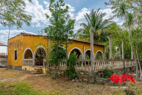 Located just a short 30-minute drive from Mérida, the Xpuhuy Ranch near Seyé offers an ideal blend of convenience and tranquility. Sprawling across 20.2 hectares (50 acres) of lush, irrigated pastureland, this property boasts a multitude of features ...