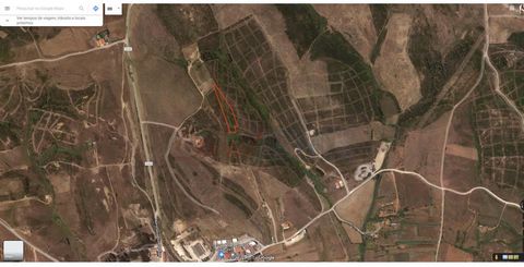 Deal Homes presents Rustic land with a total area of 4,880 m2. Located near the industrial area of Vila do Bispo, with good access and electricity nearby. Land with a steep slope and intended only for agriculture. Mark your visit! Energy Rating: Exem...