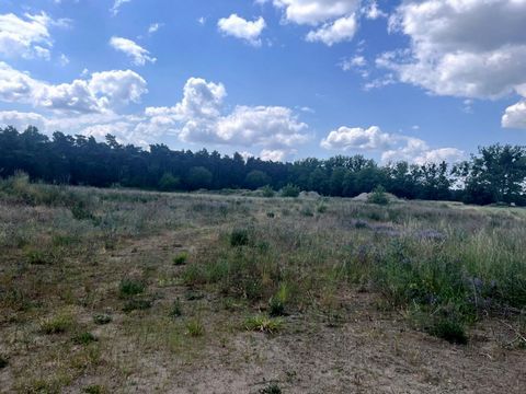 A great investment I have the honour to invite you to buy beautiful plots (in the process of being developed) in Lusówek, Tarnowo Podgórne commune, sold by the company. LOCATION The lake is about 600-700 meters away, there are a lot of forests, summe...