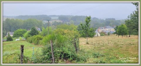 photo no. 2