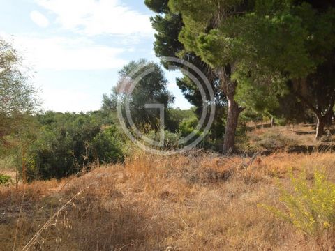 Rural Land with Building Potential in Quarteira - Unique Opportunity! This rustic plot of land, with a generous area of 4,650m2, presents a unique opportunity for construction in a strategic location. Situated in a peaceful area, just a 3-minute walk...