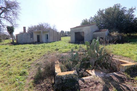 Camminiamo per le contrade della campagna di Ispica, dove i fili d'erba giacciono inclinati dal costante soffio della brezza marina, carichi di gonfie gocce di rugiada in cui si riflette il sole splendete nel cielo turchese. L'antico casolare richiam...