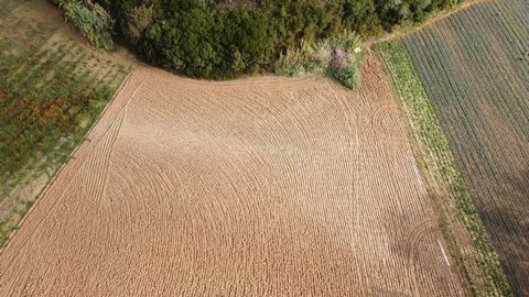 Terreno rústico com 4437m2 sem inclinação e com abundância de água, excelente para agricultura atualmente já lavrado. Fica a 6km da Praia da Foz do Lizandro, verifique o vídeo e contacte-nos para mais informações. Se necessita de ajuda para vender, c...