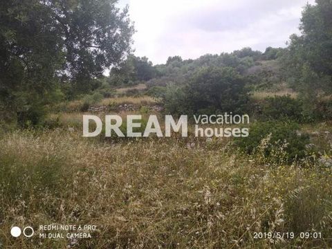 Description En vente Lopin de terre, Agios Nikolaos, 10.000 m2, Dans lot/avec jardin 10000 m2, Caractéristiques: En amphithéâtre, Prix: 830.000€ Description detaillée Terrain près du port d'Agios Nikolaos de Volimes, à 300 mètres du bord de la mer. I...