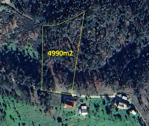   Located 1 km from Cernache do Bonjardim, this beautiful plot of 4990m2 offers the possibility to build a detached house of 250m2. Located in a very quiet area, the land has a tarmac road access and all the necessary infrastructures for construction...
