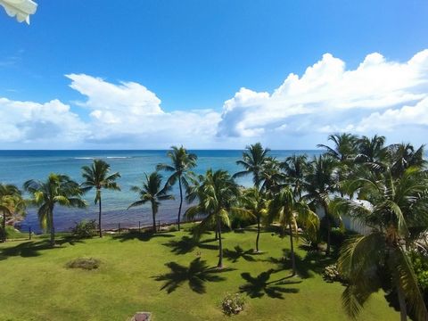 Ce superbe appartement T4 d'une surface totale de 126m2 est idéalement situé dans une résidence de standing calme et sécurisée en plein coeur de la marina de St-François, au 3ème étage accessible par acenseur et à proximité immédiate de l'ensemble de...