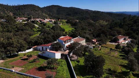 Quinta da Rocha – The Algarve in Its Purest Form If Quinta da Rocha were a person, it would be that free spirit who traded the city rush for the scent of wet earth, the sound of birds at dawn, and the peace that only nature can provide. Renovated yet...