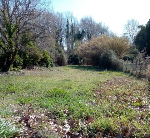 photo no. 8