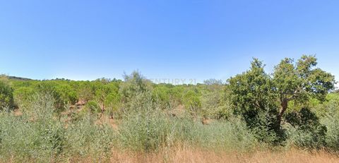 Esta excelente herdade com 71,45 hectares é composta por monte e terreno junto ao Cercal do Alentejo. Este conjunto encontra-se dividido em duas parcelas: um terreno de 67,44 hectares e um terreno misto de 4 hectares com 129m2 de habitação. No seu co...