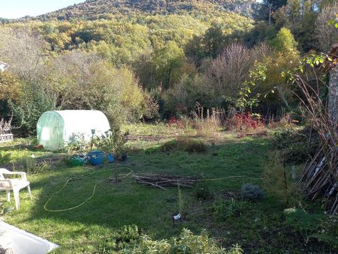 photo no. 16