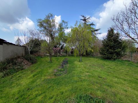 photo no. 10