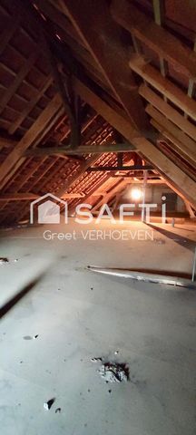 photo no. 12